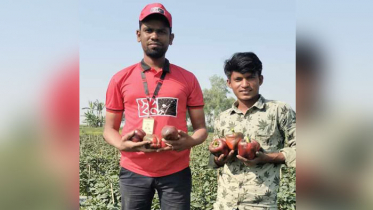 হাসি ফুটল সেই কৃষকের মুখে, তার ক্যাপসিকাম কিনলো ‘স্বপ্ন’