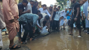 সড়কের জলে মাছ ছেড়ে প্রতিবাদ হাসনাত আবদুল্লাহর