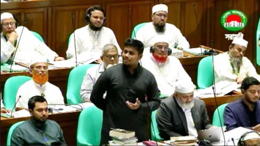 প্রজন্মের ভাষাকে অনুধাবনের চেষ্টা করুন: সংসদে হাসনাত আবদুল্লাহ