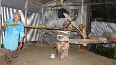 গরু নেই, ঘানি টানছেন মরিয়ম-লোকমান দম্পতি 