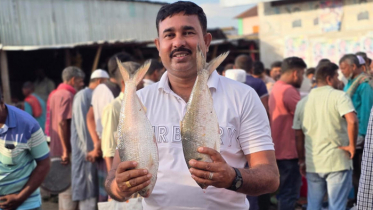 পদ্মার দুই ইলিশ বিক্রি হলো ১৬ হাজার টাকা