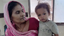 এক বছর বয়সী বাচ্চার কামড়ে সাপের মৃত্যু