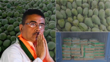 উপহার হিসেবে ভারতে ১১০০ কেজি আম পাঠাল বাংলাদেশ