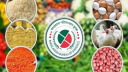 মূল্যস্ফীতি কমে জুনে ৯ দশমিক ১৬ শতাংশ