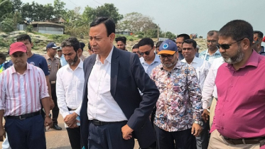 দৌলতদিয়া ফেরিঘাট পরিদর্শনে নৌ মন্ত্রণালয়ের তদন্ত দল দৌলতদিয়া ফেরিঘাট পরিদর্শনে নৌ মন্ত্রণালয়ের তদন্ত দল