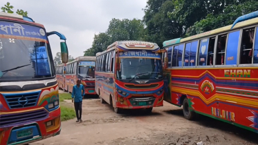 জাবি ছাত্রীকে হেনস্থা, ২৮ বাস আটকে দিল শিক্ষার্থীরা