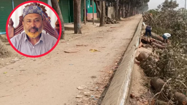 সরকারি গাছ কাটার মামলায় পদ স্থগিত হওয়া বিএনপি নেতা গ্রেপ্তার সরকারি গাছ কাটার মামলায় পদ স্থগিত হওয়া বিএনপি নেতা গ্রেপ্তার