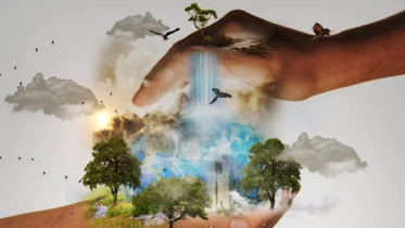 কার্বনের দায় অন্যের, ক্ষতির বোঝা বাংলাদেশের: জলবায়ু বাজেট কী যথেষ্ট?