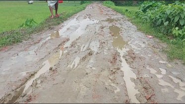 কার্পেটিং হবে জানিয়ে সড়কের ইট তুলে বিক্রি, গ্রেপ্তার প্রতারক চক্র কার্পেটিং হবে জানিয়ে সড়কের ইট তুলে বিক্রি, গ্রেপ্তার প্রতারক চক্র
