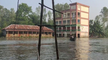 যমুনার পানি বিপৎসীমার উপরে, নিম্নাঞ্চল প্লাবিত