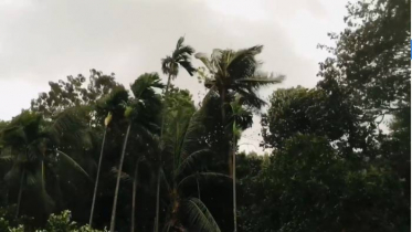 ঝড়ের সঙ্গে বৃষ্টিপাতের পূর্বাভাস