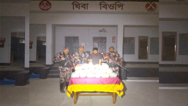 বেনাপোল সীমান্তে ৪৩ কেজি ভারতীয় গাঁজাসহ আটক ১