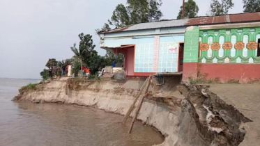 যমুনার ভাঙ্গনে বসতি বিলীন, কার্যকর পদক্ষেপ নেই