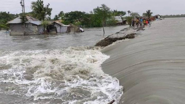 বেড়িবাঁধ ভেঙ্গে জোয়ারের পানিতে ভাসছে কয়রা-পাইকগাছা