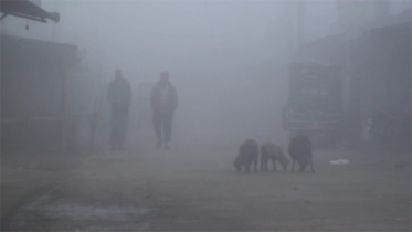 আজও দেশের সর্বনিম্ন তাপমাত্রা কিশোরগঞ্জে