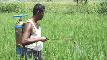 দেশের কীটনাশকের বাজার বহুজাতিক কোম্পানির নিয়ন্ত্রণে