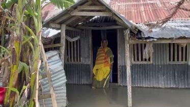 কলাপাড়ায় জলমগ্ন ১৬ গ্রামের মানুষের ধকল কাটিয়ে ওঠার চেষ্টা