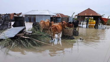 কুড়িগ্রামে পানি কমার সাথে বেড়েছে পানিবাহিত রোগ