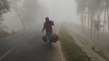 ‘ঠাণ্ডার কারণে দুদিন কাজে যাইনি, ঘরে খাবার নেই’