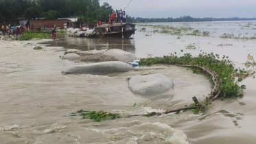 কুড়িগ্রামে পানির তোড়ে বাঁধ ভেঙে লোকালয় প্লাবিত