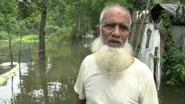 কুড়িগ্রামে পানিবন্দী অন্তত ৬০ হাজার মানুষ