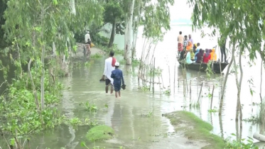 কুড়িগ্রামে অপরিবর্তিত বন্যা পরিস্থিতি