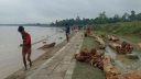 ভারত থেকে কালজানি নদীতে ভেসে আসছে হাজার হাজার গাছের গুড়ি