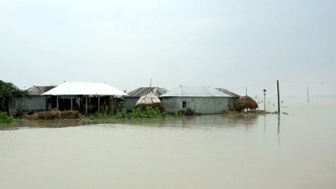 কুড়িগ্রামে নদীর পানি বিপদসীমার উপরে, প্লাবিত নিম্নাঞ্চল