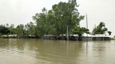 ফের বাড়ছে ধরলার পানি,বানবাসিদের দুর্ভোগ চরমে