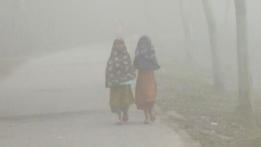 কুয়াশা: কুড়িগ্রামে ১ ঘন্টার পথ যেতে লাগছে ৩ ঘন্টা 