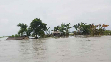 কুড়িগ্রামে ধরলার পানিতে আরও ১০ গ্রাম প্লাবিত 