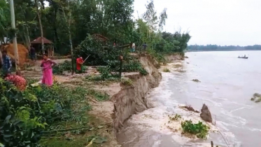 কুড়িগ্রামে ২ দিনেই শতাধিক বিঘা জমি-বসতভিটা নদীগর্ভে