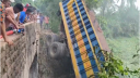 কুষ্টিয়ায় পাথরবোঝাই ট্রাক উল্টে খাদে, নিহত ২