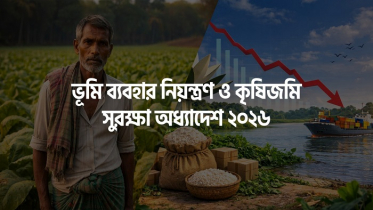 রংপুরে তামাক চাষ বন্ধের আশঙ্কা, এমপিদের কাছে চাষিদের চিঠি