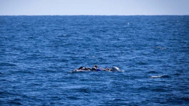 লিবিয়া উপকূলে অভিবাসীবাহী নৌকা ডুবে নিহত অন্তত ৫৩