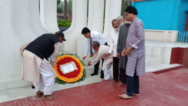 নানা কর্মসূচিতে মেহেরপুরে মহান স্বাধীনতা দিবস পালিত হচ্ছে