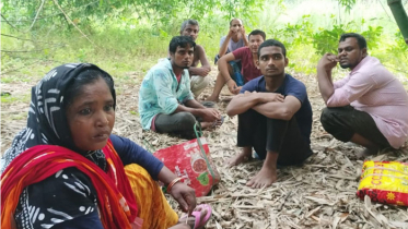 গাংনীতে ৭ জনকে পুশইনের চেষ্টা বিএসএফের, প্রতিরোধ বিজিবির
