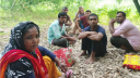 গাংনীতে ৭ জনকে পুশইনের চেষ্টা বিএসএফের, প্রতিরোধ বিজিবির