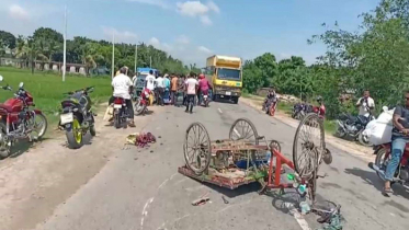 মেহেরপুরে প্রাইভেটকারের ধাক্কায় ভ্যানচালক নিহত