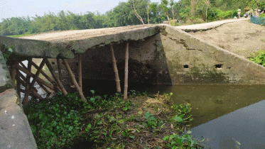 মেহেরপুরের গাংনীতে ভাঙ্গা ব্রীজে ভোগান্তি 