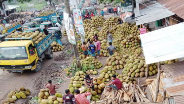 মিরসরাইয়ে মৌসুমী ফলের জমজমাট বাজার