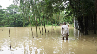 টানা বর্ষণে মিরসরাইয়ে শতাধিক পরিবার পানিবন্দি