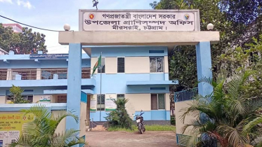 কর্মকর্তা ছাড়াই চলছে মিরসরাই ভেটেরিনারি হাসপাতাল