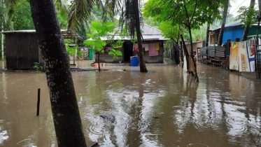 বৃষ্টিতে তলিয়ে গেছে মোংলার সাড়ে ৪শ’ চিংড়ি ঘের