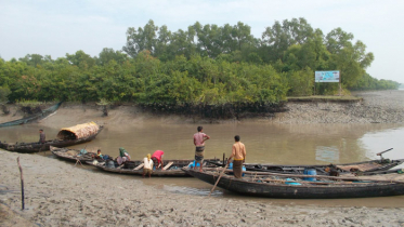 সুন্দরবনে বিষ দিয়ে মাছ শিকার, ৮ জেলে আটক