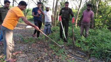 খোপে ঢুকে অজগর খেলো হাঁস-মুরগি