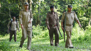 বন কর্মকর্তা-রক্ষীদের ওপর হামলার ঘটনায় মামলা, আসামি ২১