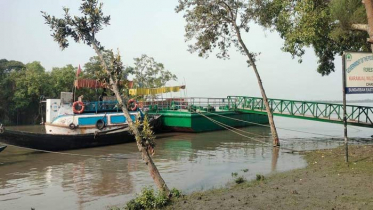 করোনায় সুন্দরবনে কমেছে পর্যটক