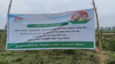 ‘জয় বাংলা বধ্যভূমি’ দখলে নিয়েছে ভূমিহীন চা শ্রমিকরা 
