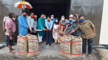 মৌলভীবাজারে বোরো ধান সংগ্রহ শুরু 